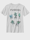 ZOOT.Fan Twentieth Century Fox Pandora Flora Sketches Koszulka dziecięce