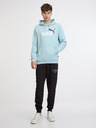 Puma ESS+ 2 Col Big Logo Hoodie TR Bluza