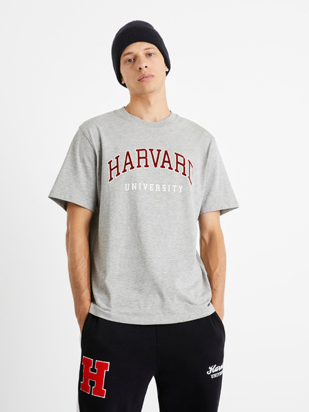 Celio Harvard University Koszulka